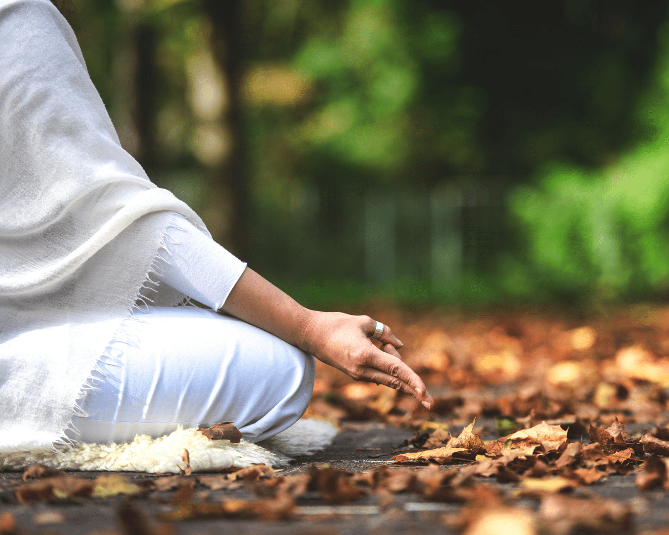 Herbstrauschen Yoga Retreat